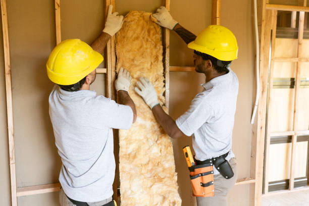 Best Fireproof Insulation  in Clinton, IL